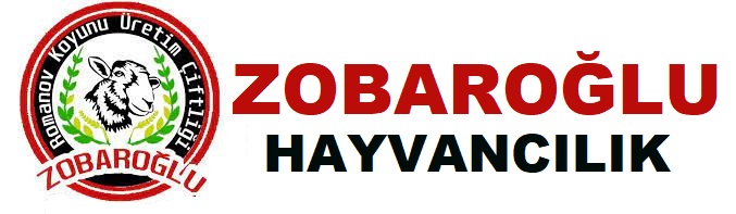 Romanov Koyunu |Satış | Üretim | Zobaroğlu ® |  ☎️ 05321526254 Romanov Koyunu |Satış | Üretim | Zobaroğlu ® |  ☎️ 05321526254